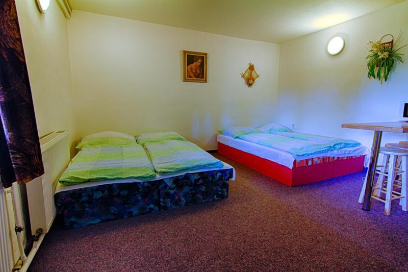 Pension Ivanka Jestrabi V Krkonosich Extérieur photo